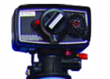 Viesel Perm